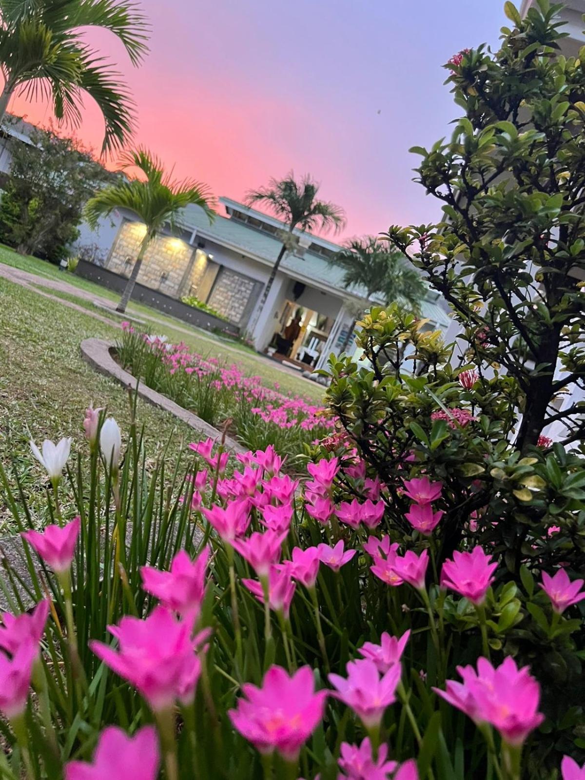 เรสซิเดนซ์ อาร์จิน อพาร์ตเมนต์ - เซเชลส์ Aparthotel วิกตอเรีย ภายนอก รูปภาพ